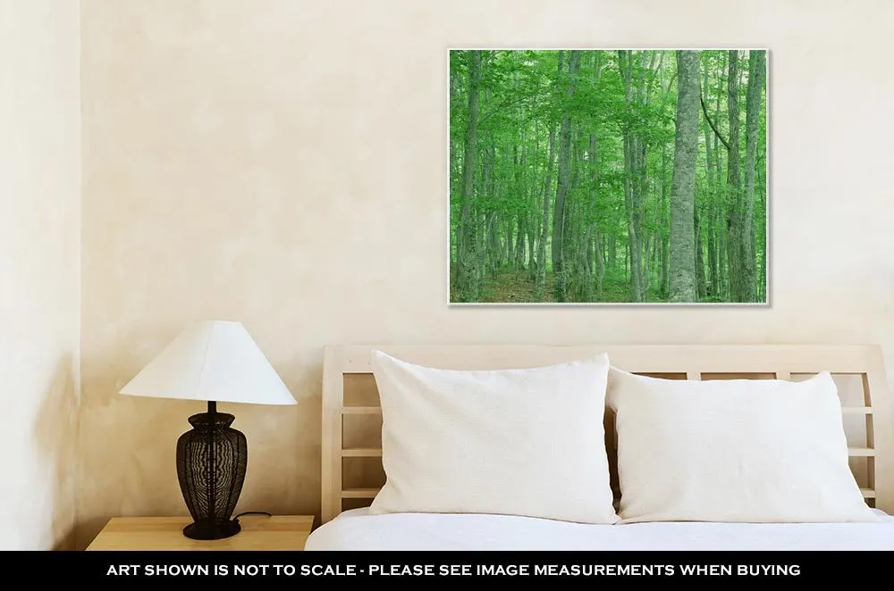 Gallery Wrapped Canvas, Green Forest Nature Landscape