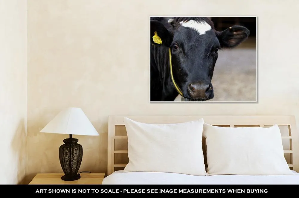 Gallery Wrapped Canvas, Meat Dairy Breed Cows On Farm